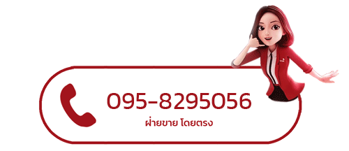 ติดตั้งเน็ตทรู